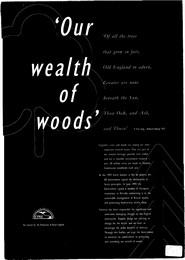 Our wealth of woods