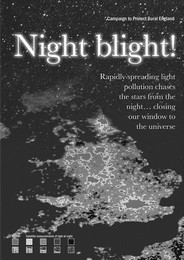 Night blight - report