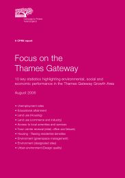 Focus on the Thames Gateway