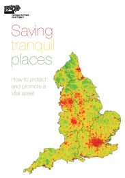 Saving tranquil places - how to protect and promote a vital asset