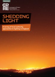 Shedding light - a survey of local authority approaches to lighting in England