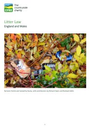 Litter law - England and Wales