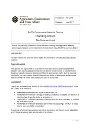 DAERA environmental advice for planning - standing advice: the common lizard