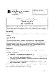 DAERA environmental advice for planning - standing advice: the common lizard
