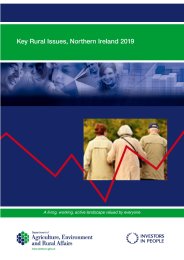 Key rural issues, Northern Ireland 2019