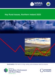 Key rural issues, Northern Ireland 2020