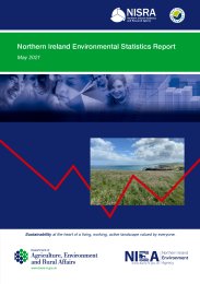 Northern Ireland environmental statistics report. May 2021