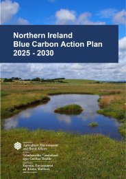 Northern Ireland blue carbon action plan 2025 - 2030