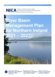 River basin management plan for Northern Ireland 2021-2027