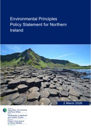 Environmental principles policy statement for Northern Ireland