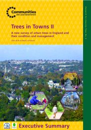 Trees in towns II - a new survey of urban trees in England and their condition and management: executive summary