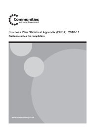 Business plan statistical appendix: 2010-11 (BPSA) - guidance notes for completion