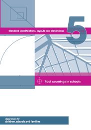 Roof coverings in schools