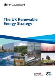 UK renewable energy strategy. Cm 7686