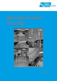 Microgeneration strategy