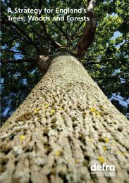 Strategy for England's trees, woods and forests