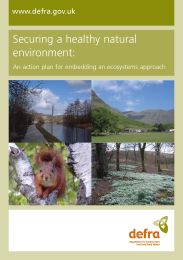 Securing a healthy natural environment - an action plan for embedding an ecosystems approach