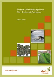 Surface water management plan technical guidance