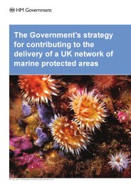 Government's strategy for contributing to the delivery of a UK network of marine protected areas