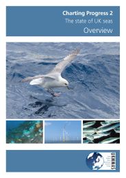 Charting progress 2 - the state of UK seas: overview