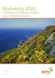 Biodiversity 2020: a strategy for England's wildlife and ecosystem services