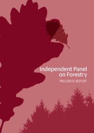 Independent panel on forestry - progress report