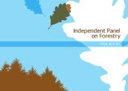 Independent panel on forestry - final report
