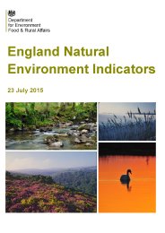 England natural environment indicators