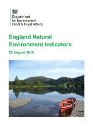 England natural environment indicators