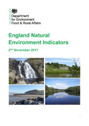 England natural environment indicators