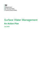 Surface water management plan - an action plan