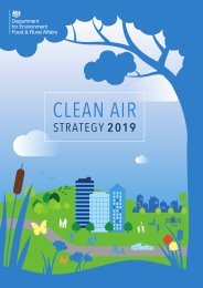 Clean air strategy 2019