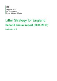 Litter strategy for England: second annual report (2018-2019)