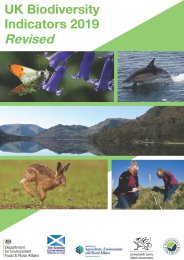 UK biodiversity indicators 2019 revised