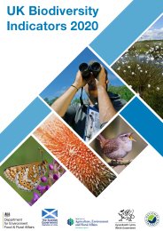 UK biodiversity indicators 2020