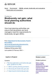 Biodiversity net gain: what local planning authorities should do