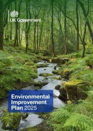 Environmental improvement plan 2025