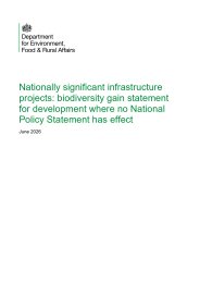 Nationally significant infrastructure projects: biodiversity gain statement for development where no National Policy Statement has effect