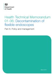 Decontamination of flexible endoscopes. Policy and management