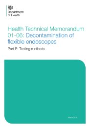 Decontamination of flexible endoscopes. Testing methods