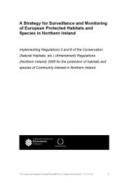 Strategy for surveillance and monitoring of European protected habitats and species in Northern Ireland - implementing Regulations 3 and 6 of the Conservation (Natural Habitats, etc.) (Amendment) Regulations (Northern Ireland) 2009 for the protection of habitats and species of Community interest in Northern Ireland
