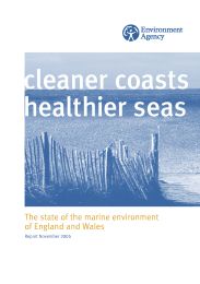 Cleaner coasts, healthier seas: the state of the marine environment in England and Wales