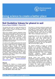 Soil guideline values for phenol in soil