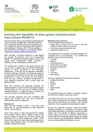 Valuing the benefits of blue-green infrastructure