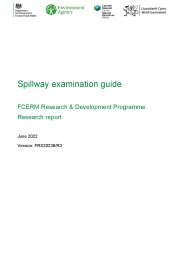 Spillway examination guide