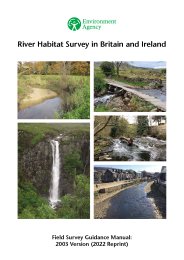 River habitat survey in Britain and Ireland