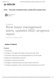 River basin management plans, updated 2022: progress report