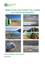 State of the environment: the coastal and marine environment