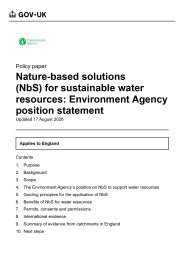 Nature-based solutions (NbS) for sustainable water resources: Environment Agency position statement
