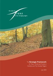 Value of trees in our changing region - the strategic framework for trees, woods and forests in Yorkshire and The Humber region